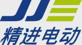 2023国产驱动电机行业(图4)