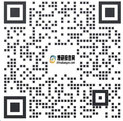 中国电机制造行业发展现状研究与投资趋势预测报告(2022-2029年)