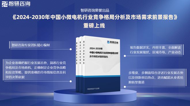 2024年中国小微电机行业现状分析及发展趋势预测（智研咨询）